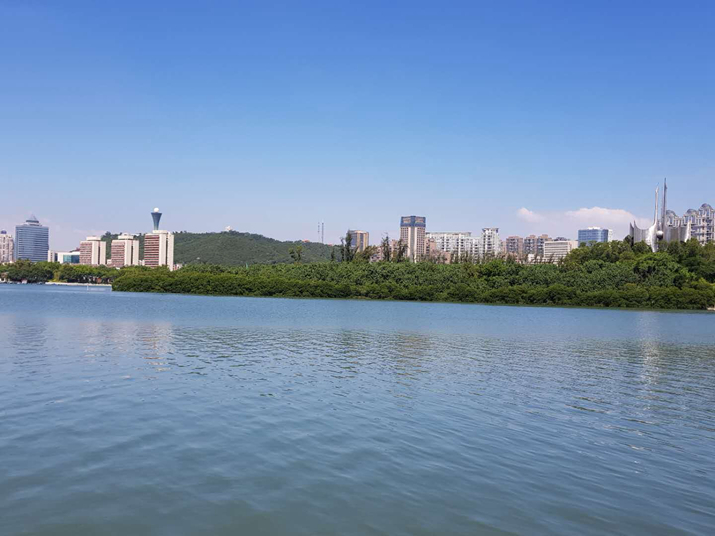 The scenery of Yundang Lagoon in Xiamen (SUDESHNA SARKAR)