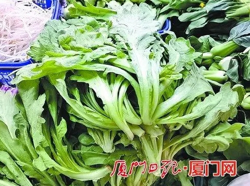 Fresh seasonal vegetables hit XM store shelves