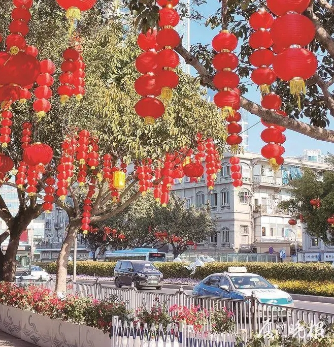 Xiamen flower market continues to bloom